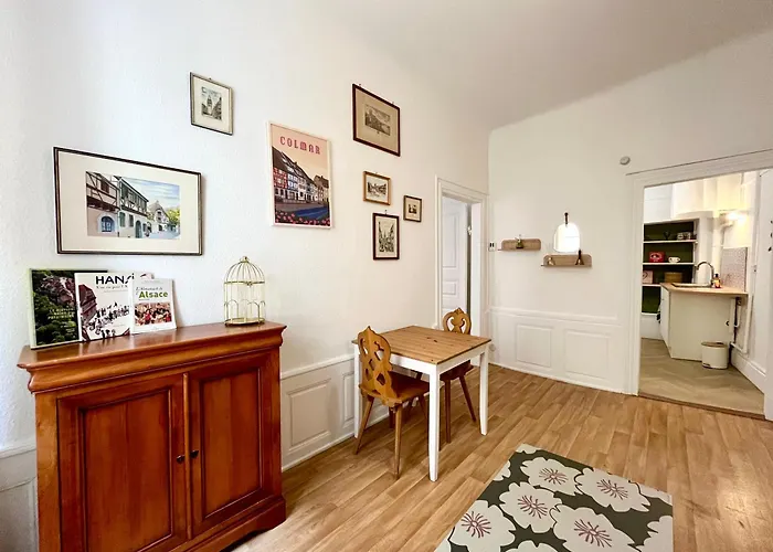 Chez Mamema Apartment Colmar